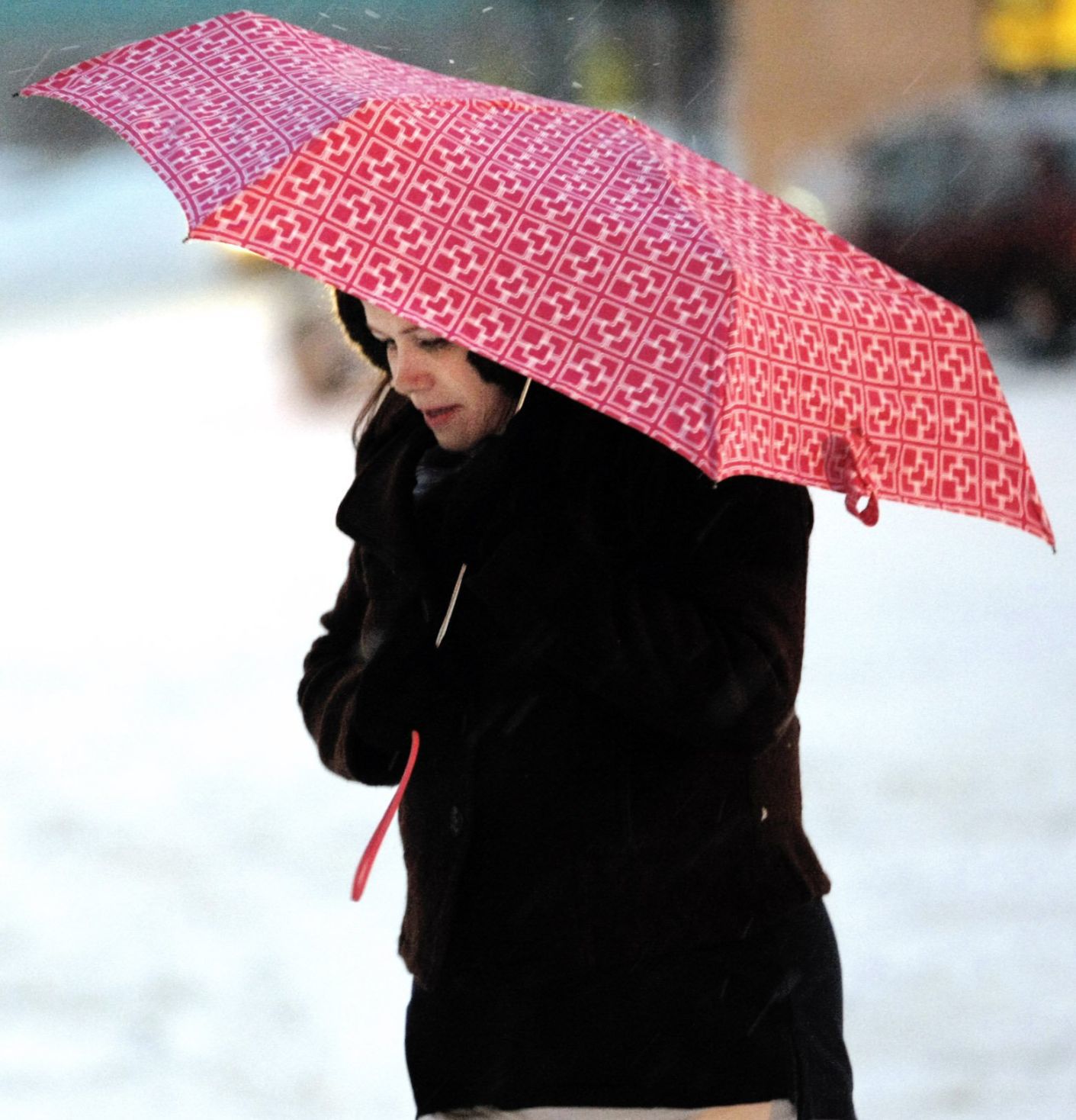 2009 blizzard